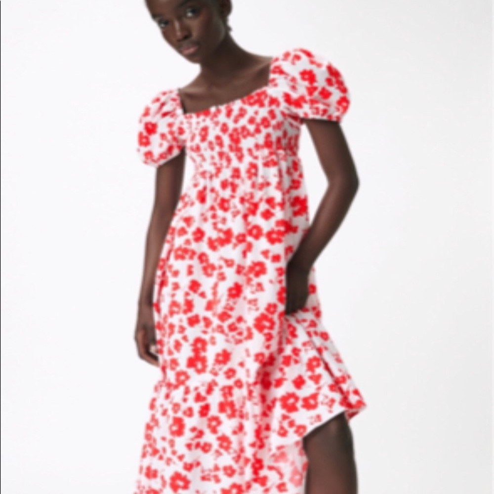Zara floral printed Aline dress